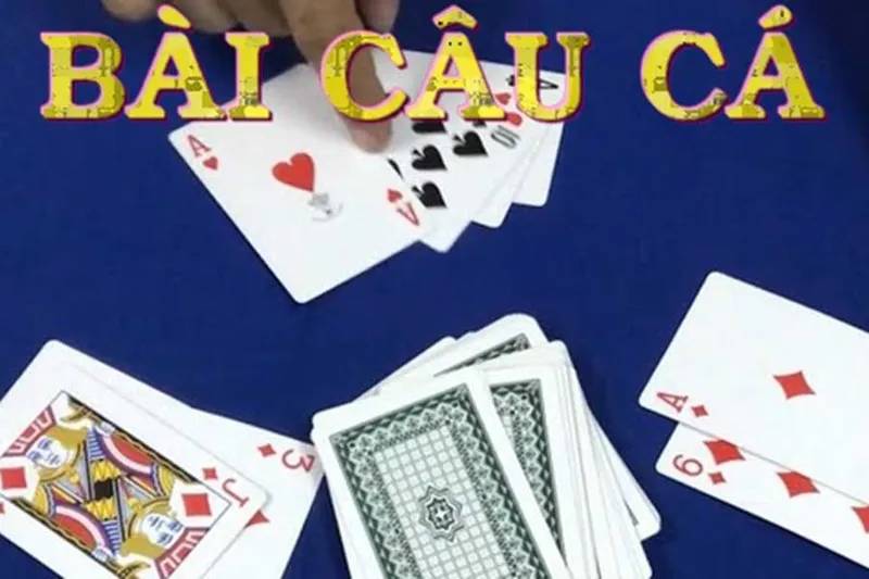 Giới Thiệu Về Đánh Bài Câu Cá