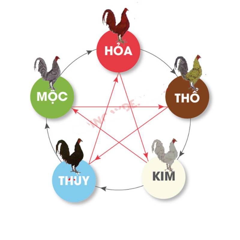 Xem Ngày Theo Ngũ Hành